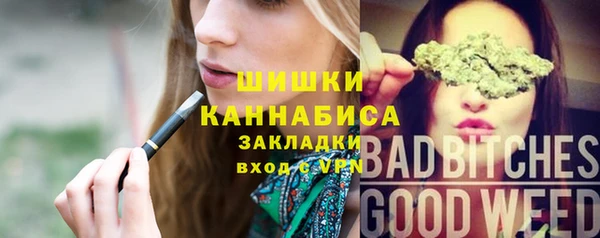 МДПВ Алзамай