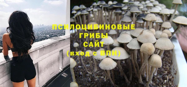МДПВ Алзамай