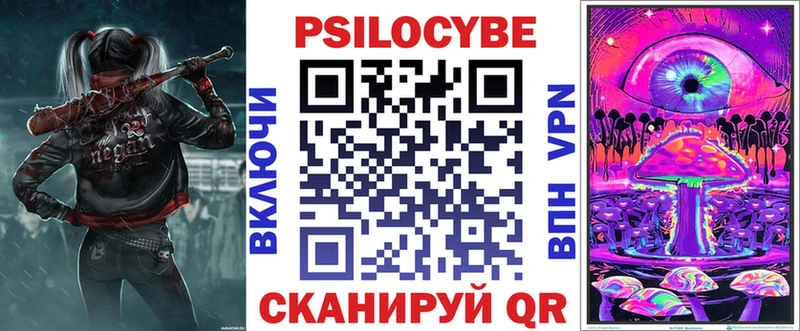 где найти наркотики  Петровск-Забайкальский  Галлюциногенные грибы Psilocybine cubensis 